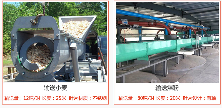 絞龍螺旋輸送機輸送小麥輸送量在12噸/時，長度為25米，葉片采用不銹鋼材質(zhì)；輸送水泥輸送量在80噸/時，長度為20米，葉片設(shè)計為有軸。
